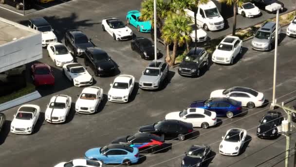 プレステージインポートマイアミでの販売のための高級車 — ストック動画