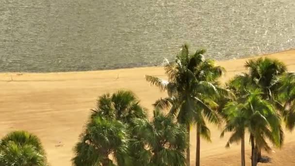 Nagranie Lotnicze Palm Polu Golfowym Budowie — Wideo stockowe