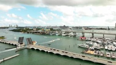 Miami Limanı yolcu gemileriyle dolu.