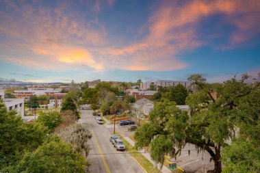 Tallahassee FL USA 'de canlı hava fotoğraflı meşe ağaçları