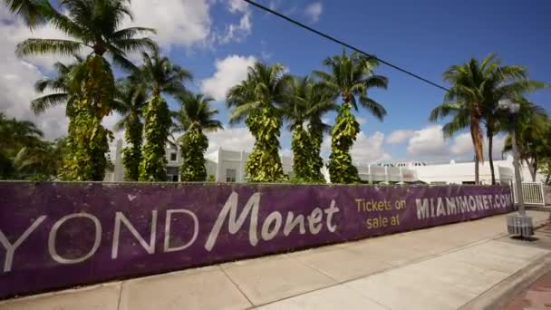 Monet Banksy Exhibits Ice Palace Film Studios Miami — Stock Video