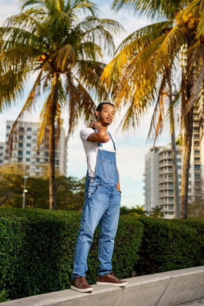 背景にヤシと公園でハンサムなアフリカ系アメリカ人男性モデルの写真 — ストック写真