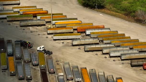 トロピカナ工場のフロリダオレンジで満たされたトラックピアスFl — ストック動画