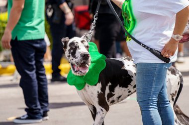 Hollywood, FL, ABD - 13 Mart 2022: 2022 St. Patrick Günü Geçit Töreni Fotoğrafları Hollywood 'un merkezinde.