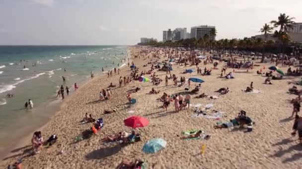 College Students Vacation Fort Lauderdale Beach Spring Break Aerial Video — Stock Video