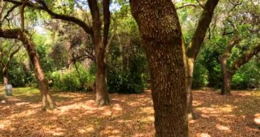 Greynold Park Miami Dade County FL ABD