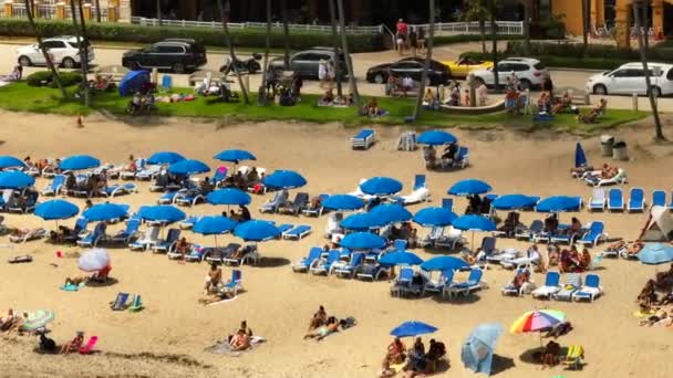 Touristes Bronzage Bronzage Deerfield Beach — Video