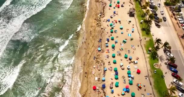 Shores Beach Aerial Drone Video — 비디오