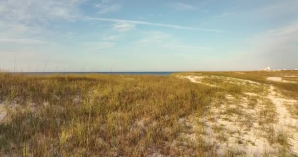 Luchtfoto Natuur Scene Golf Shores Alabama — Stockvideo