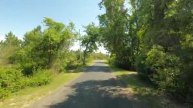 Kaplumbağa 4k yolda yaklaşım videosu