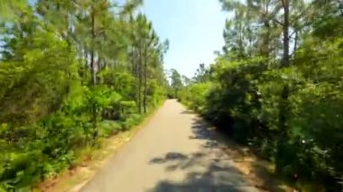  Alabama doğası 4k 'yi izliyor.