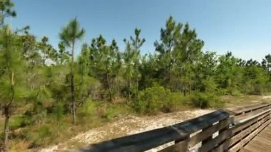 Alabama Körfezi 'ndeki Doğa Yolları Eyalet Parkı 4k 60fps