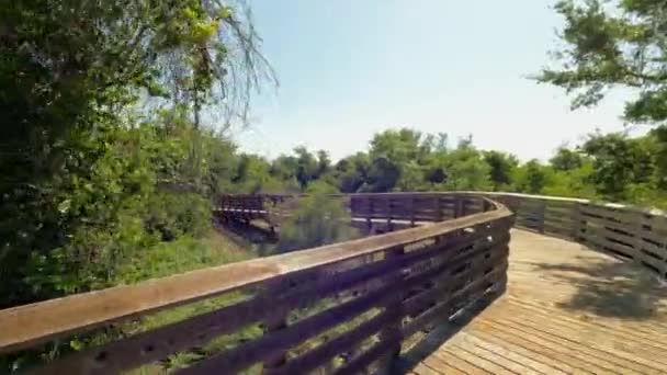 Gulf State Park Sentier Bois Dans Les Bois Alabama Usa — Video