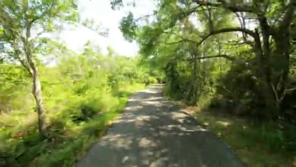 Trilhas Bicicleta Golf State Park Alabama Eua — Vídeo de Stock