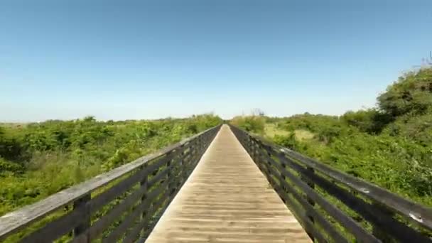 Sentiers Naturels Artificiels Dans Gulf Shores State Park Alabama Usa — Video
