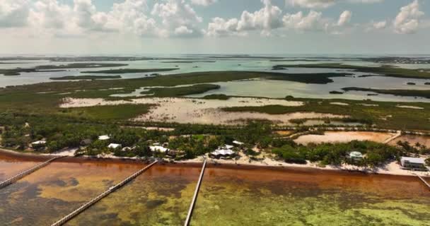 Aerial Pull Out Schot Sugarloaf Key Florida Verenigde Staten — Stockvideo