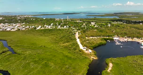 John Pennekamp Coral Reef State Park Key Largo Övervakningsbilder Från — Stockvideo