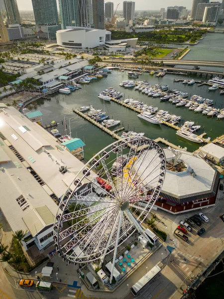 Aerial Vertical Photo Skyviews Ferris Wheel Downtown Miami — Stock Photo, Image