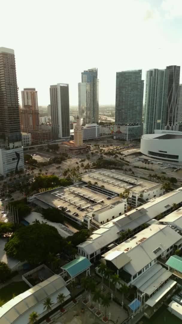 Vertical Aerial Drone Video Miami Freedom Tower — Stockvideo