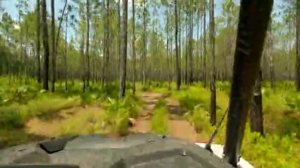 Silver Lake Recreation Area Tallahassee Sxs Road Riding Trails — Stock video