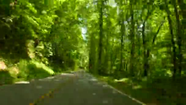 Hyperlapse Video Driving Tennessee 60P — Stock video
