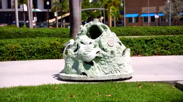 Artificial Reef Cells Project Hollywood Usa Motion Video — Vídeos de Stock
