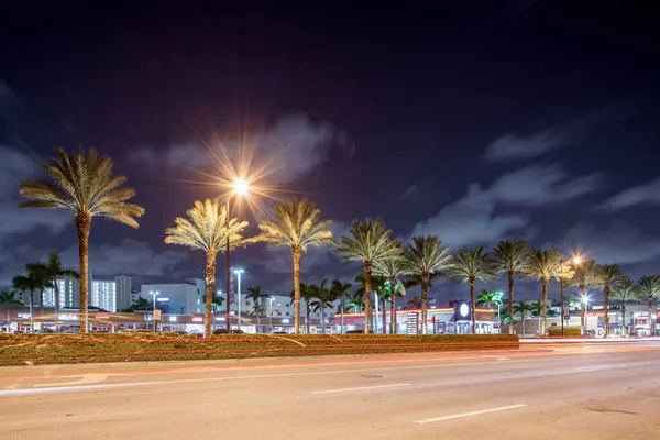 Mooi Strand Met Palmbomen Lucht — Stockfoto