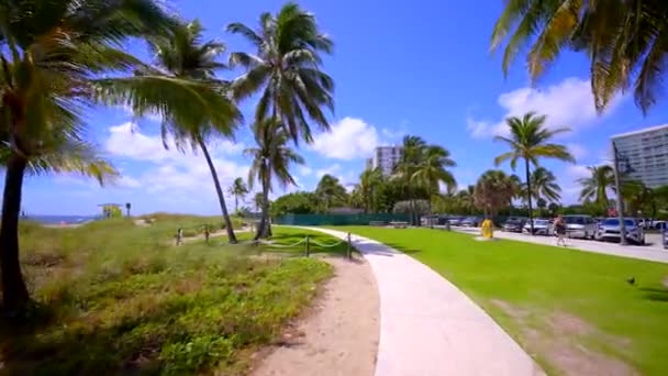 Bike Path Pompano Beach Gimbal Stabilized Motion Footage — Stok Video