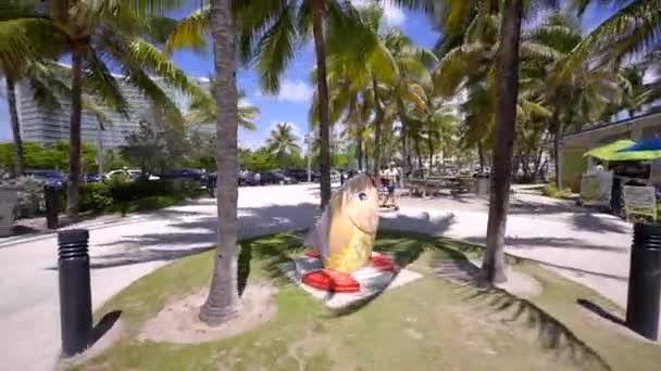 Fish Art Pompano Beach Orbit Video Clip — 비디오