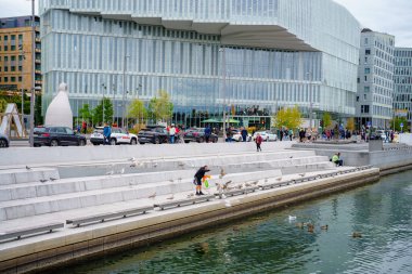 Oslo Norveç 'te sudaki kuşları besleyen adam.