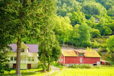 Norveç çiftlik evleri manzaralı