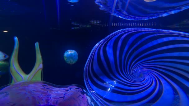 Video Van Een Kleurrijk Aquarium — Stockvideo