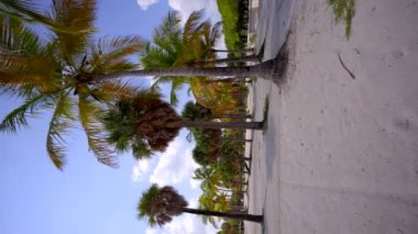 Miami Plajı 'nda palmiye ağaçlarının arasında yürüyen 8 bin polis.