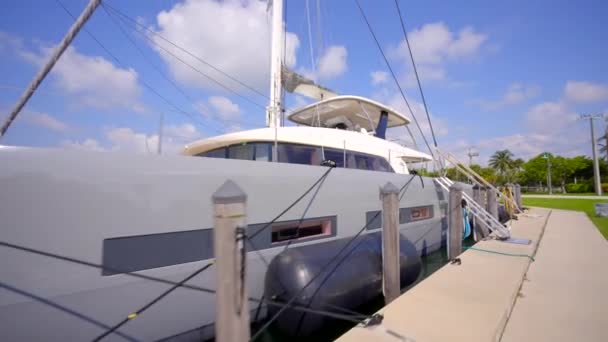 Movimento Vídeo Tour Luxo Catamarã Miami Key Biscayne Marina — Vídeo de Stock
