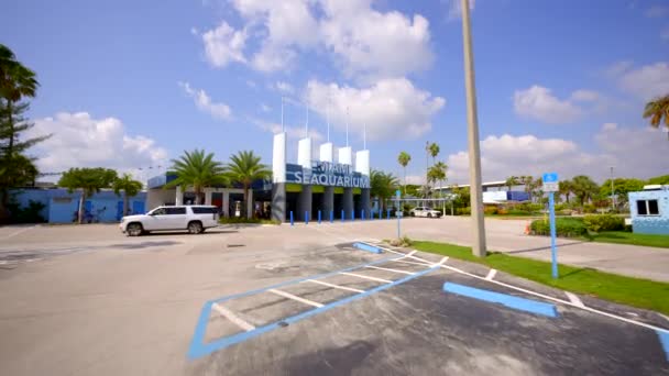 Rörlig Film Miami Seaquarium Key Biscayne — Stockvideo
