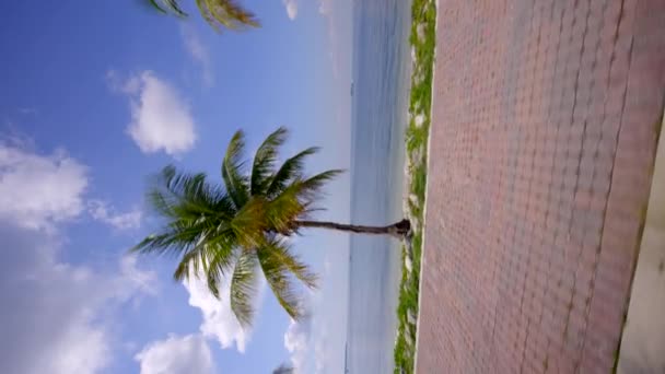 Miami Motion Video Key Biscayne Strand Och Cykelväg — Stockvideo