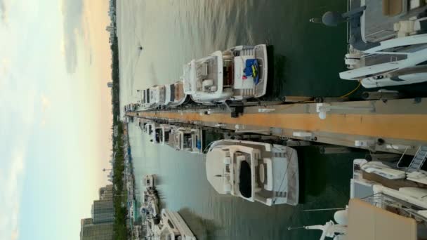 Imágenes Verticales Drones Marina Con Yates Lujo Miami — Vídeos de Stock