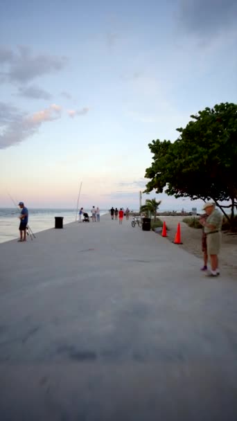 Bal港口码头和迈阿密渔港的垂直镜头 — 图库视频影像