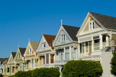 alamo kare Viktorya evlerde