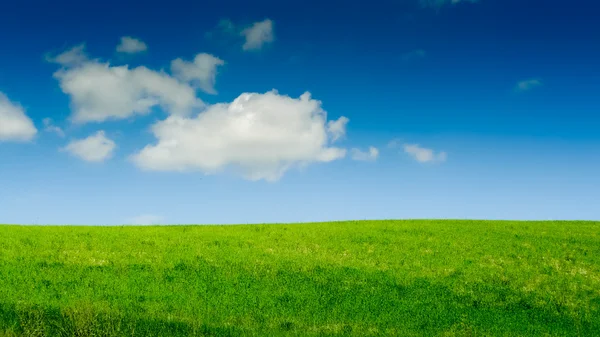 Зелений пагорб і блакитне небо — стокове фото