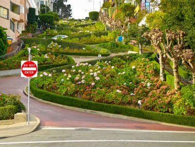 Lombard street aşağıdan