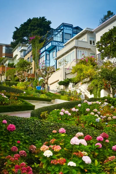 Lombard street from below — Stock Photo, Image