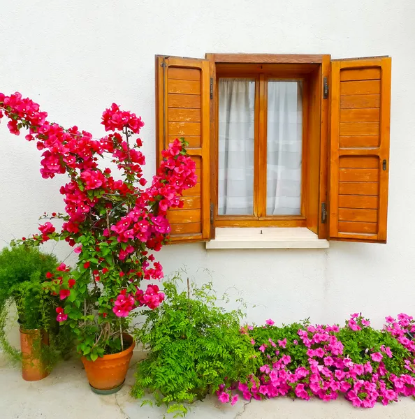 Bouganville und Fenster — Stockfoto