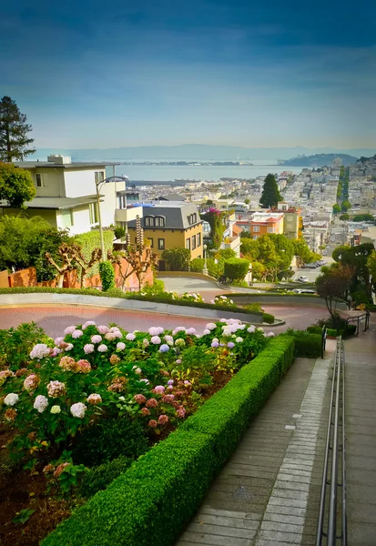 Lombard Street — Stok fotoğraf