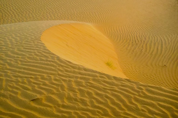 Arched Dune — Stock Photo, Image