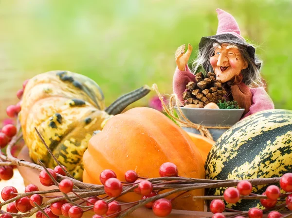 Halloween decor with a witch — Stock Photo, Image