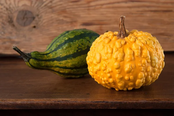 Calabazas de otoño — Foto de Stock