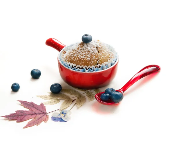 Mirtillo di Cupcake di autunno — Foto Stock