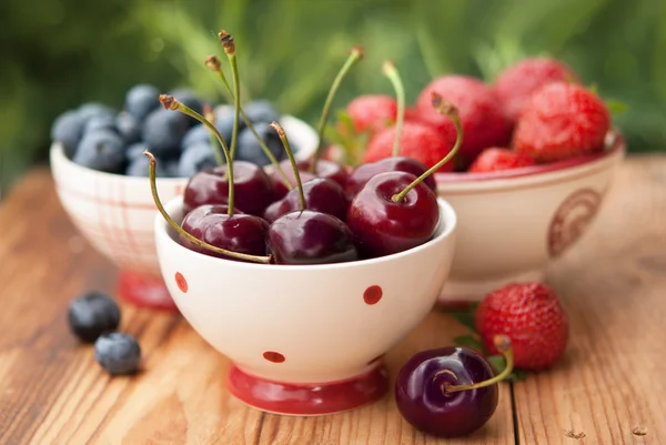 Літні ягоди в мисках — стокове фото