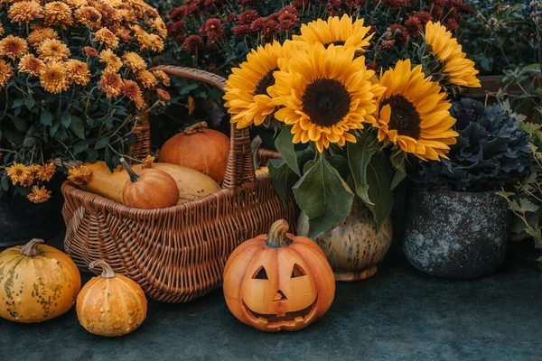 Halloween Dynie Wystrój Świecami Słoneczniki — Zdjęcie stockowe